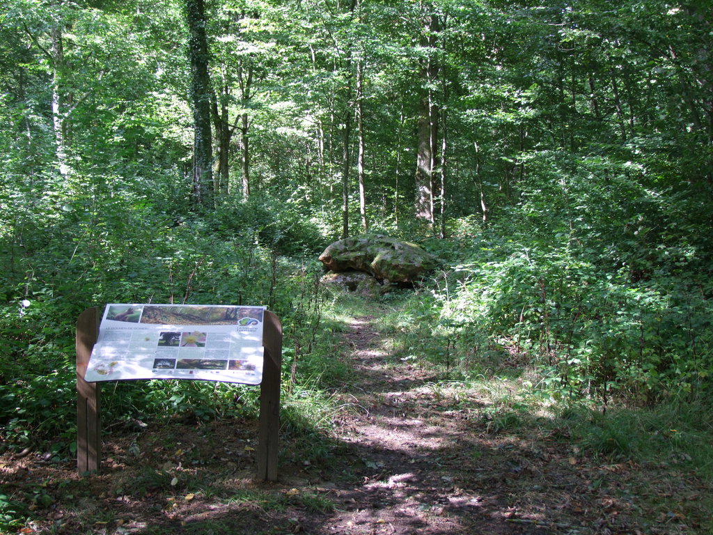 Dolmen de Gomery