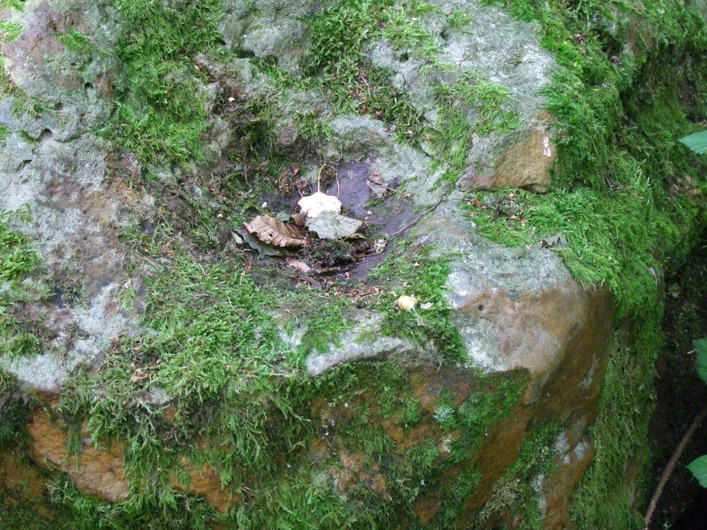 Dolmen de Gomery