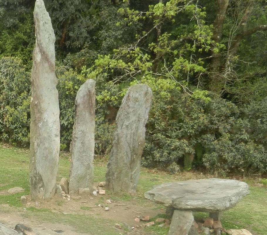 Mawphlang Sacred Forest (PID:147688) Mawphlang Sacred Forest