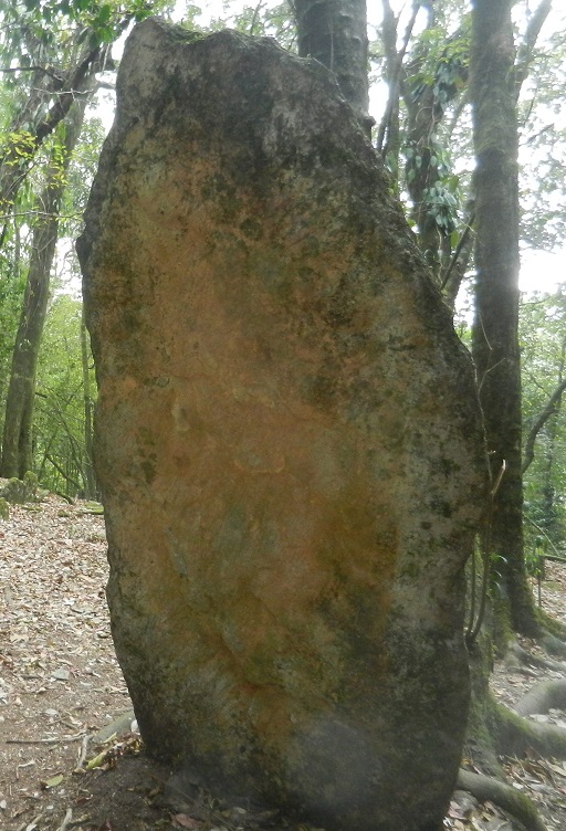 Mawphlang Sacred Forest