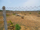 Thiruporur Stone Circles and Burial Cists