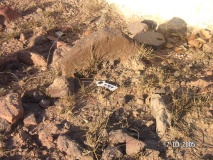 Guneri village, Lakhpat taluka, Kutch, Gujarat  - PID:59869
