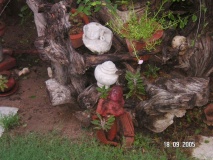 Korta, Pali Taluka - PID:62217