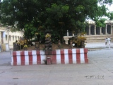 Sri Meenakshi Devi temple