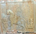 Click for full size image of Bundi (PID:151220) Bundi