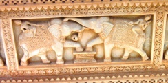 Click for full size image of Bundi (PID:151225) Bundi