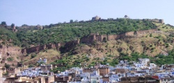 Click for full size image of Bundi (PID:151214) Bundi