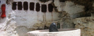 Click for full size image of Bundi (PID:151228) Bundi