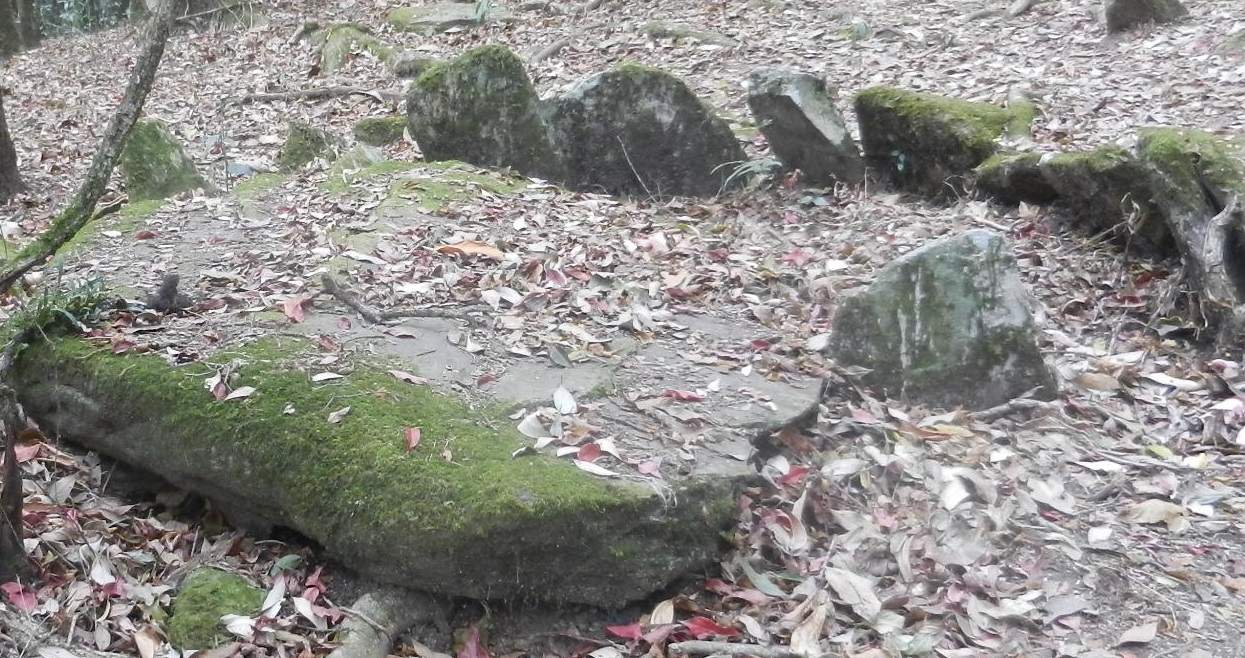 Click for full size image of Mawphlang Sacred Forest (PID:147689) Mawphlang Sacred Forest