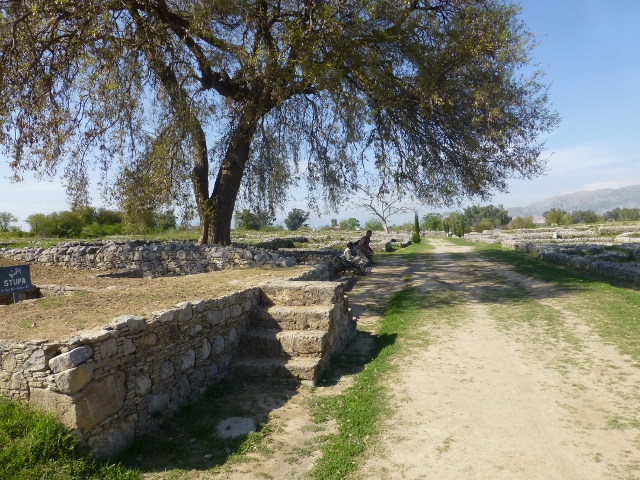 Taxila Museum