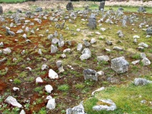 Click for full size image of Beaghmore E (PID:49380) Beaghmore E