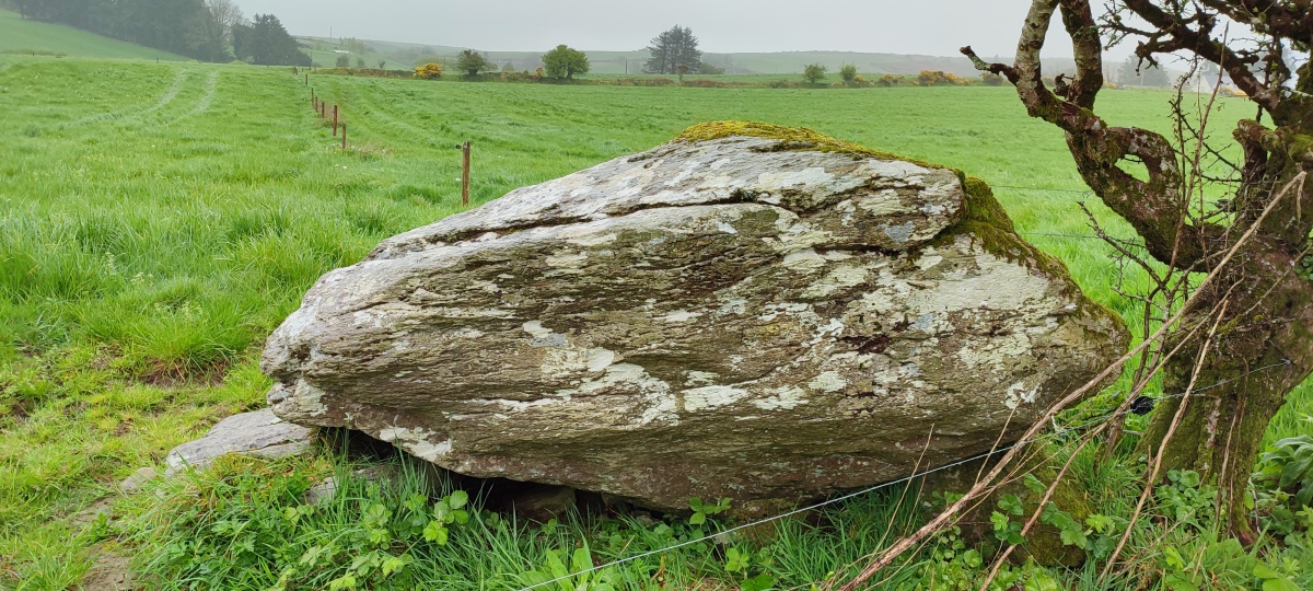Caherkirky boulder burials + standing stone