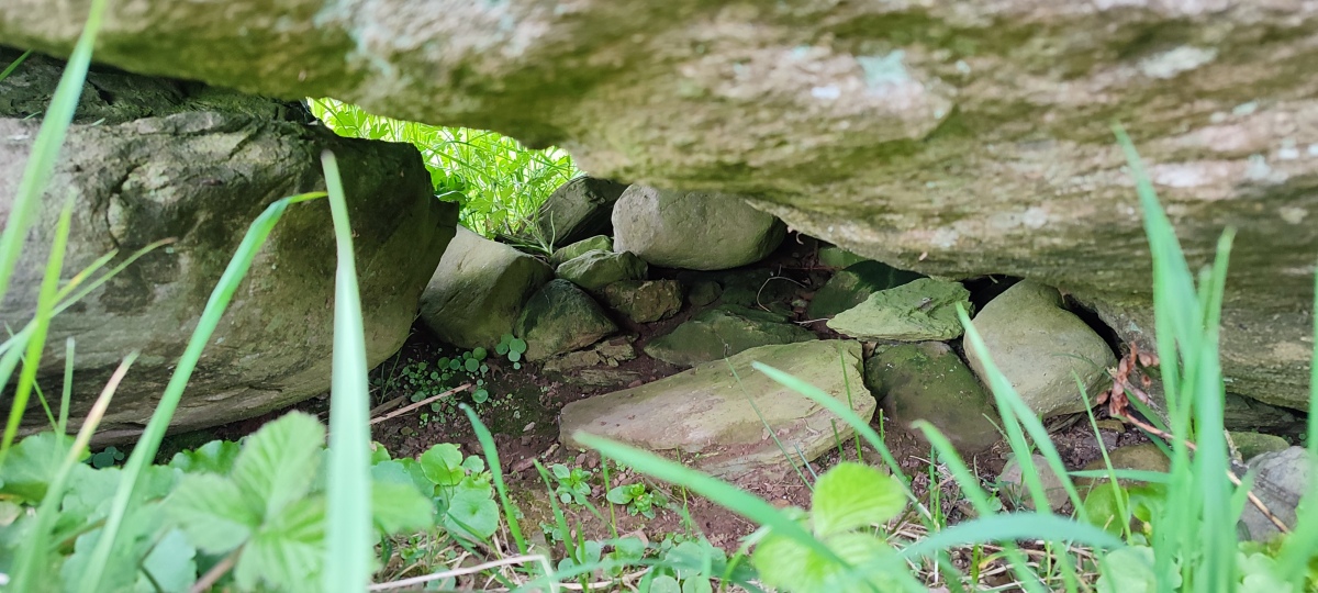 Caherkirky boulder burials + standing stone