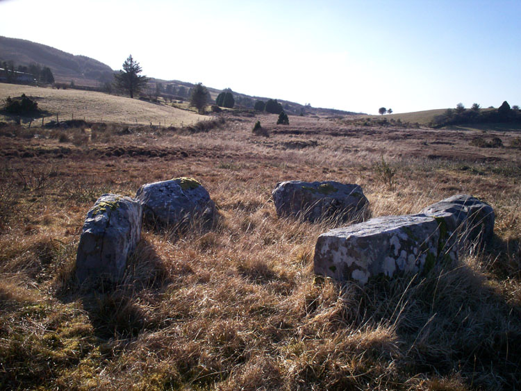 This small five stone circle sits on a low mound in a cut-away peat bog.
Easily reached over well maintained pasture.
The sheep farm is on the R585 and permission to view the circle is readily granted to polite enquirers.