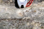 Click for full size image of Derreenataggart (PID:166584) Derreenataggart