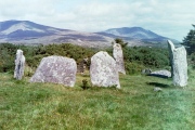 Click for full size image of Derreenataggart (PID:112877) Derreenataggart