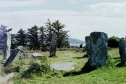Click for full size image of Derreenataggart (PID:112876) Derreenataggart