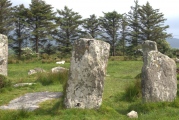 Click for full size image of Derreenataggart (PID:166585) Derreenataggart