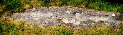 Click for full size image of Derreenataggart (PID:166551) Derreenataggart