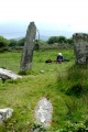Click for full size image of Derreenataggart (PID:166583) Derreenataggart