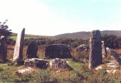 Click for full size image of Derreenataggart (PID:1271) Derreenataggart
