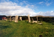 Click for full size image of Derreenataggart (PID:140413) Derreenataggart