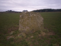 Kylefinchin 1 Standing Stone - PID:55073