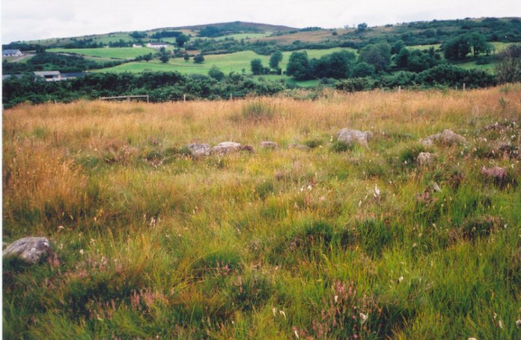 Mount drum archaeological site