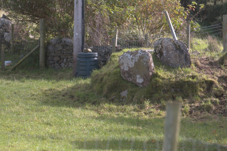 The two remaining upright slabs. What sort of megalithic tomb is this? Portal, court, passage?