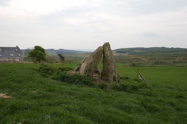 Click for full size image of Magherayall (PID:29742) Magherayall