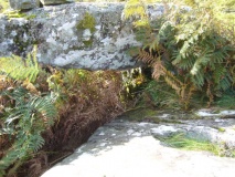 Carricknamoghil - PID:59673