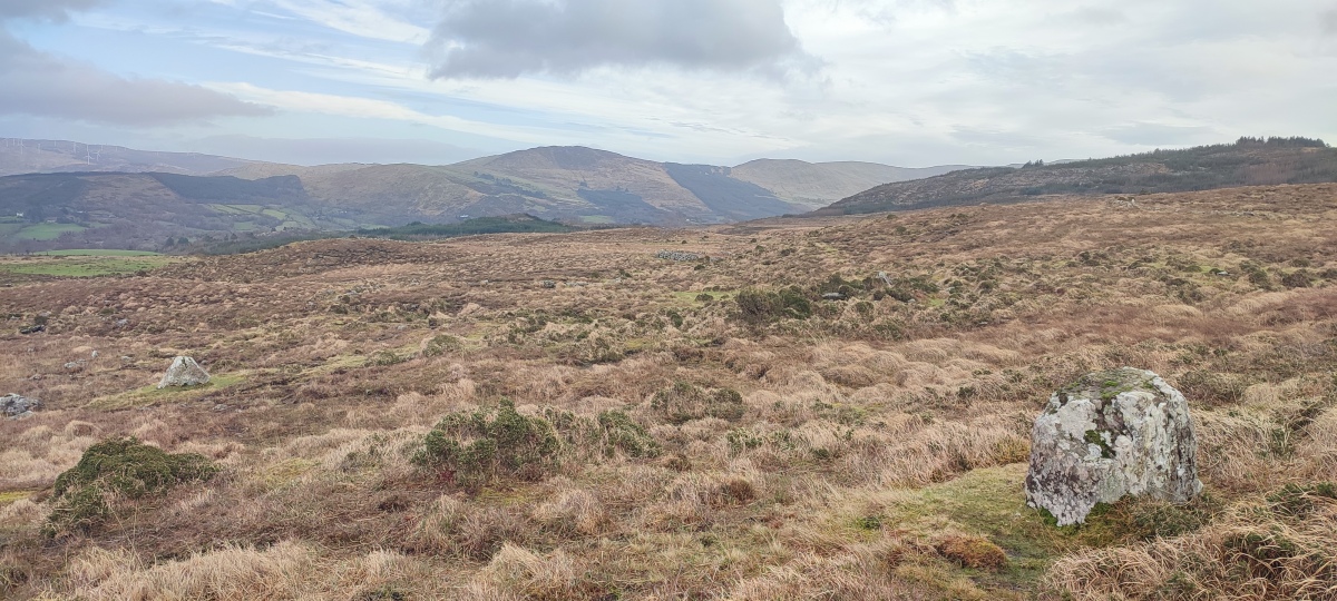 Lounaghan standing stones, cairns and enclosures Standing stones KE094-064001- and KE094-064002- are in mountain pasture, 15m N of a tributary of the Glashievhee stream, on the lower SW slope of Knockbrack Mountain.
KE094-064002-:
This standing stone (1.25m x 0.35m; H 0.95m) is rectangular in plan and triangular in section. It tapers to an uneven top and is orientated NNW-SSE.
KE094-064001-:
This standing stone (0.6m x 0.5m; H 1.5m) is
