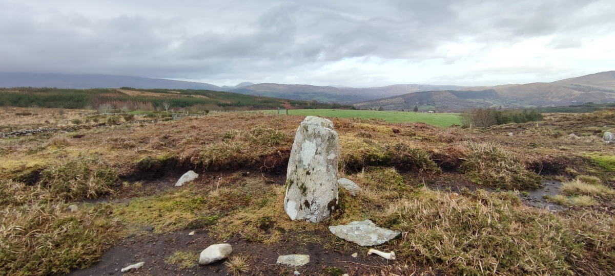 Lounaghan standing stones, cairns and enclosures Standing stone KE094-060002-
In rough pasture, on top of a knoll, at the base of the SW slope of Knockbrack Mountain and within a network of pre-bog field boundaries (KE094-060001-). This standing stone (0.45m x 0.35m; H 0.75m) is orientated NE-SW. A quartz vein encircles the upper portion of the stone and another area of quartz is visible towards the base on the SW side. The stone stands on an