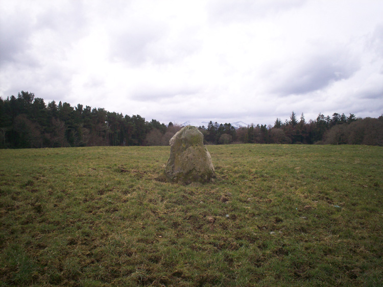 Park Standing Stone  