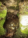 Lomanagh holy well - PID:94133