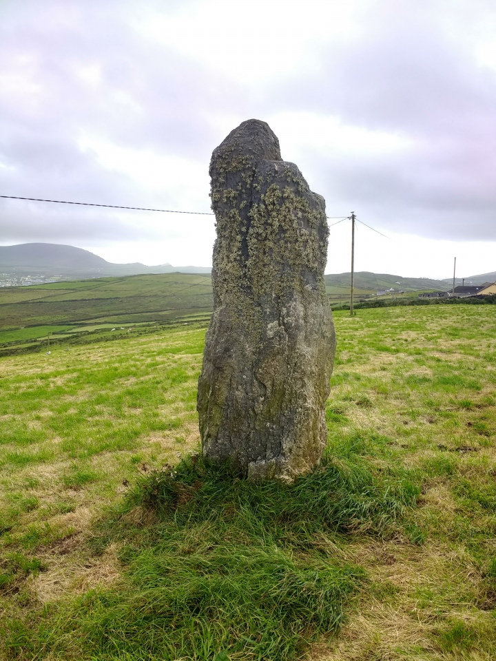 Cool East ogham stone