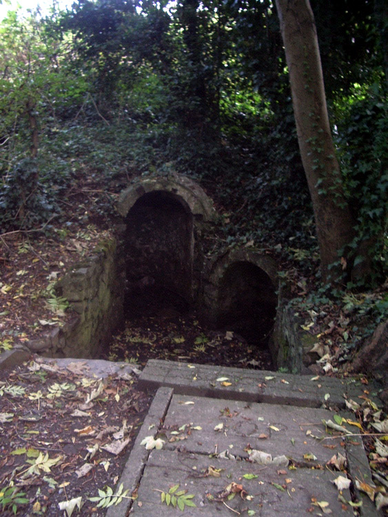 Saint Catherine's Well (Leixlip)