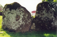 Grange (Co. Limerick) - PID:33540