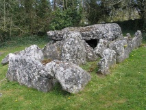 Lough Gur Wedge tomb - PID:41567
