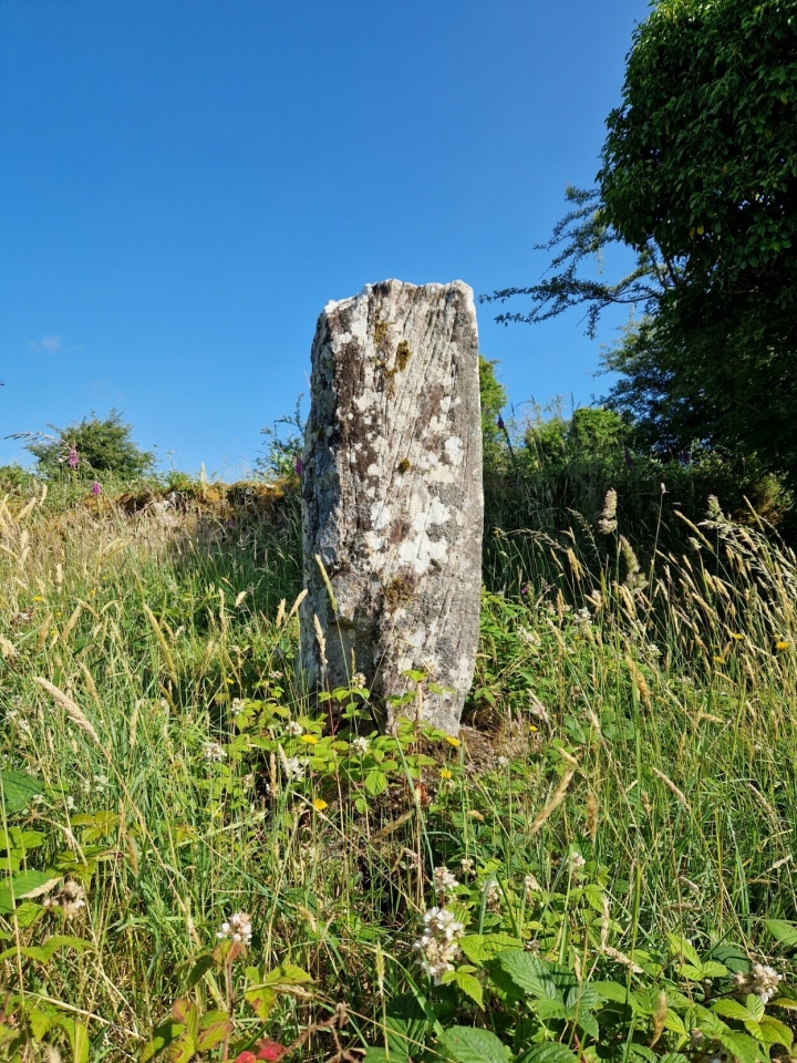 Kilmovee Ogham Stone