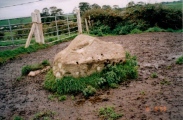 Dolmen Of The Four Maols