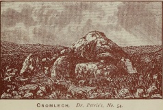 Carrowmore 54 - PID:96138