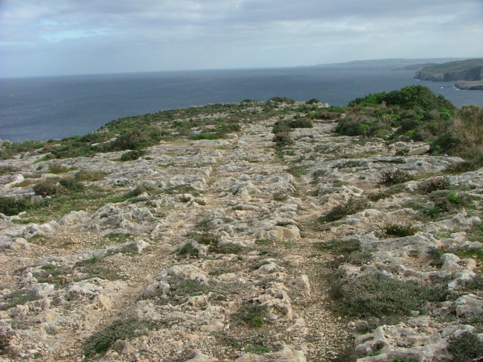 Click for full size image of Ras il-Qala Cart Ruts (PID:11367) Ras il-Qala Cart Ruts