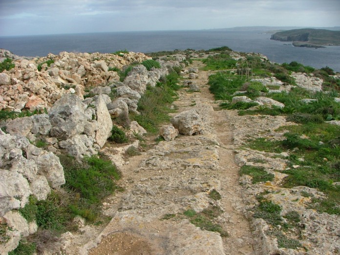 Click for full size image of Ras il-Qala Cart Ruts (PID:11368) Ras il-Qala Cart Ruts