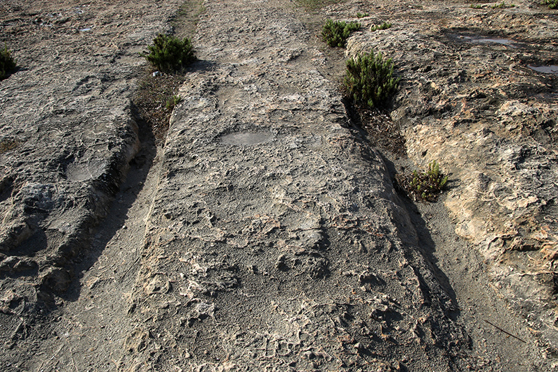 Il-Bajja tal-Mellieħa Cart Ruts (PID:156032) Il-Bajja tal-Mellieħa Cart Ruts