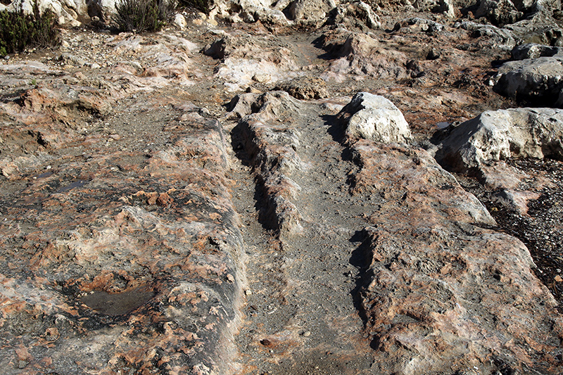 Click for full size image of Il-Bajja tal-Mellieħa Cart Ruts (PID:156033) Il-Bajja tal-Mellieħa Cart Ruts