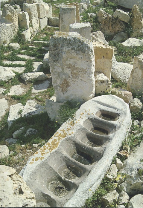 Click for full size image of Kordin III (PID:10023) Kordin III