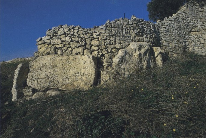 Click for full size image of Ta' Raddiena (PID:9983) Ta' Raddiena