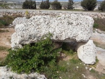 Wied Filep A - PID:105246