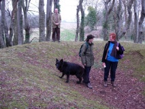 Culliford Tree - PID:13418